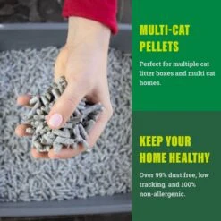 Fresh News Non-Clumping Scented Paper Cat Litter, 25-lb Bag 14 Fresh News Non-Clumping Scented Paper Cat Litter, 25-lb Bag -Cat Supply Store 539206 PT3. AC SS1800 V1667517974