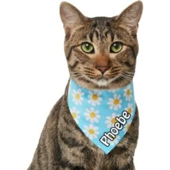 Frisco Personalized Blue Daisy Bandana 17 Frisco Personalized Blue Daisy Bandana -Cat Supply Store 555206 PT6. AC SS1800 V1669839922