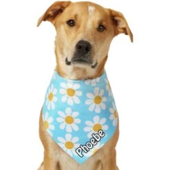 Frisco Personalized Blue Daisy Bandana 18 Frisco Personalized Blue Daisy Bandana -Cat Supply Store 555206 PT7. AC SS1800 V1669839925