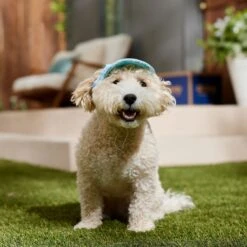 Frisco Blue Ocean Waves 30 + UPF Dog & Cat Beach Cap 14 Frisco Blue Ocean Waves 30 + UPF Dog & Cat Beach Cap -Cat Supply Store 556182 PT5. AC SS1800 V1675714092