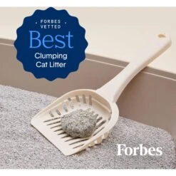 Boxiecat Extra Strength Unscented Premium Clumping Clay Cat Litter 12 Boxiecat Extra Strength Unscented Premium Clumping Clay Cat Litter -Cat Supply Store 582110 PT3. AC SS1800 V1658678537