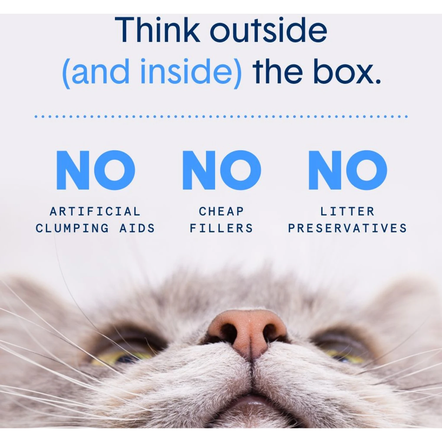 Boxiecat Extra Strength Unscented Premium Clumping Clay Cat Litter 7 Boxiecat Extra Strength Unscented Premium Clumping Clay Cat Litter - Image 5