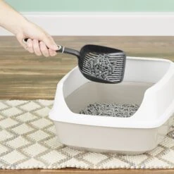 Fresh News Unscented Non-Clumping Paper Cat Litter 12 Fresh News Unscented Non-Clumping Paper Cat Litter -Cat Supply Store 61630 PT3. AC SS1800 V1525471133