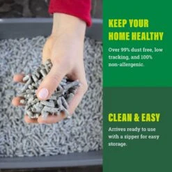 Fresh News Unscented Non-Clumping Paper Cat Litter 13 Fresh News Unscented Non-Clumping Paper Cat Litter -Cat Supply Store 61630 PT6. AC SS1800 V1667519484