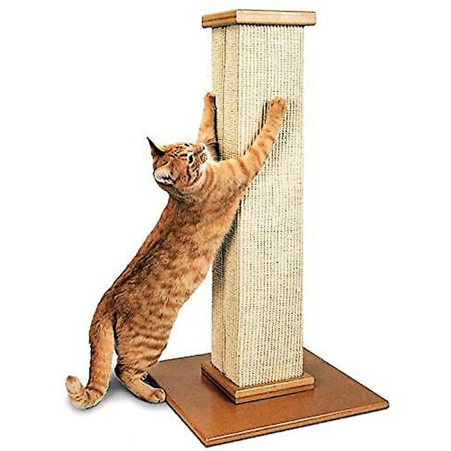 SmartCat The Ultimate 32-in Sisal Cat Scratching Post 5 SmartCat The Ultimate 32-in Sisal Cat Scratching Post - Image 3