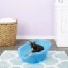 SmartCat Ultimate Litter Box 1 SmartCat Ultimate Litter Box -Cat Supply Store 64203 MAIN. AC SS1800 V1565284408