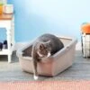 Catit Cat Pan With Rim 1 Catit Cat Pan With Rim -Cat Supply Store 65017 MAIN. AC SS1800 V1565284442