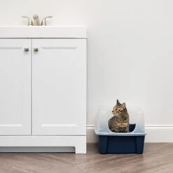 IRIS USA Open Top Litter Box With Scatter Shield 13 IRIS USA Open Top Litter Box With Scatter Shield -Cat Supply Store 65498 PT2. AC SS1800 V1680803978
