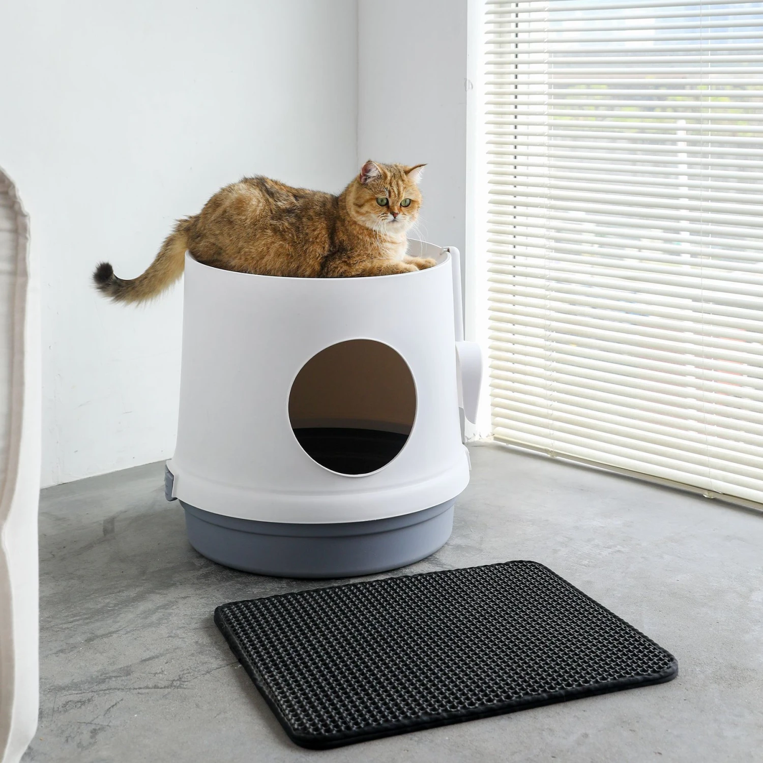 Hanamya Cat Litter Box With Scoop & Scratcher 3 Hanamya Cat Litter Box With Scoop & Scratcher