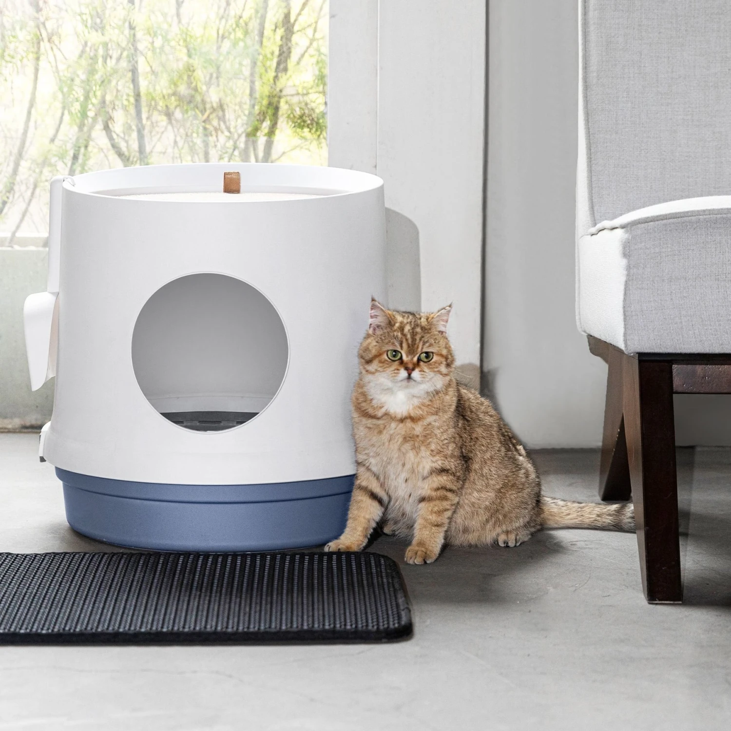 Hanamya Cat Litter Box With Scoop & Scratcher 11 Hanamya Cat Litter Box With Scoop & Scratcher - Image 9