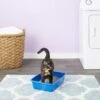 Van Ness Cat Litter Pan, Blue -Cat Supply Store 70438 MAIN. AC SS1800 V1565284453