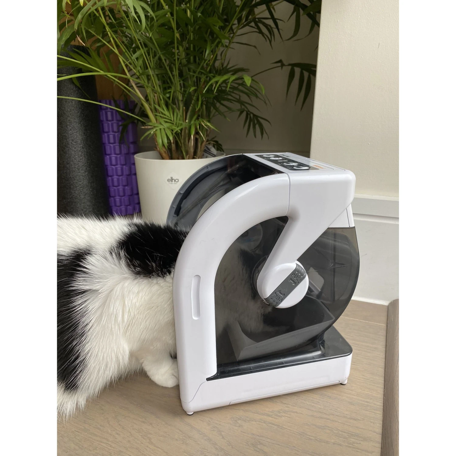 Closer Pets MiBowl Microchip Dog & Cat Feeder, White & Black 10 Closer Pets MiBowl Microchip Dog & Cat Feeder, White & Black - Image 8