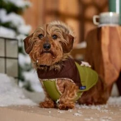 Frisco Heavy Weight 2-Tone Sherpa Lined Hybrid Quilted Dog & Cat Parka 18 Frisco Heavy Weight 2-Tone Sherpa Lined Hybrid Quilted Dog & Cat Parka -Cat Supply Store 718038 PT7. AC SS1800 V1692378337