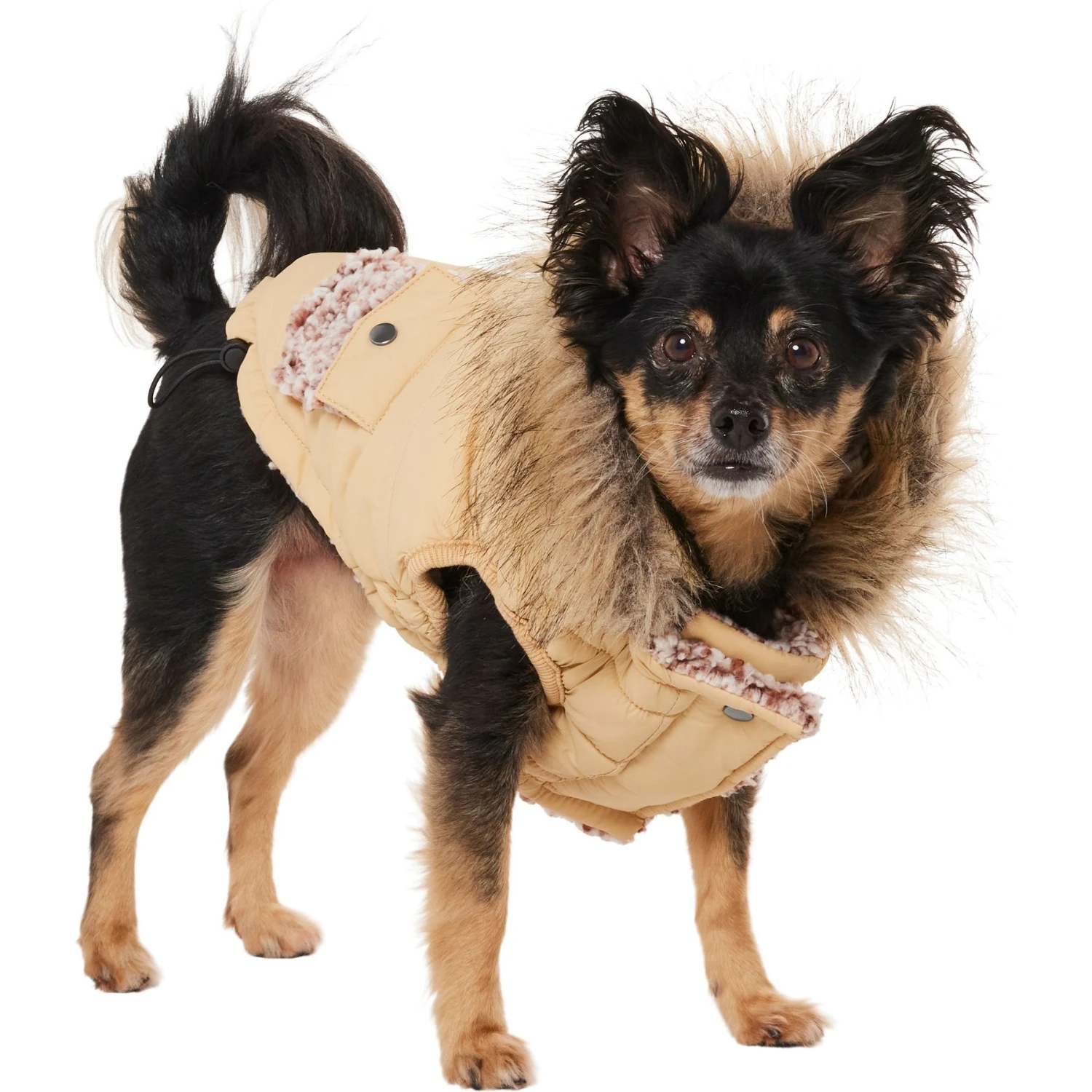 Frisco Heavy Weight Matte Quilted Dog & Cat Parka With Cozy Fleece Lining 5 Frisco Heavy Weight Matte Quilted Dog & Cat Parka With Cozy Fleece Lining - Image 3