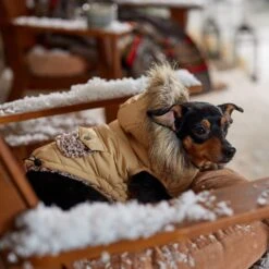 Frisco Heavy Weight Matte Quilted Dog & Cat Parka With Cozy Fleece Lining 18 Frisco Heavy Weight Matte Quilted Dog & Cat Parka With Cozy Fleece Lining -Cat Supply Store 719654 PT7. AC SS1800 V1692376037