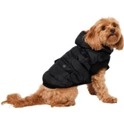 Frisco Heavy Weight Matte Quilted Volume Dog & Cat Puffer 13 Frisco Heavy Weight Matte Quilted Volume Dog & Cat Puffer -Cat Supply Store 719750 PT2. AC SS1800 V1703184628