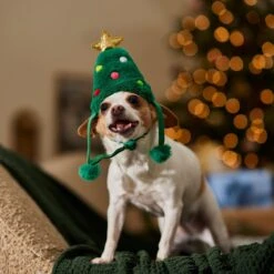 Frisco Christmas Tree Faux Fur Dog & Cat Hat 14 Frisco Christmas Tree Faux Fur Dog & Cat Hat -Cat Supply Store 745582 PT5. AC SS1800 V1694793444