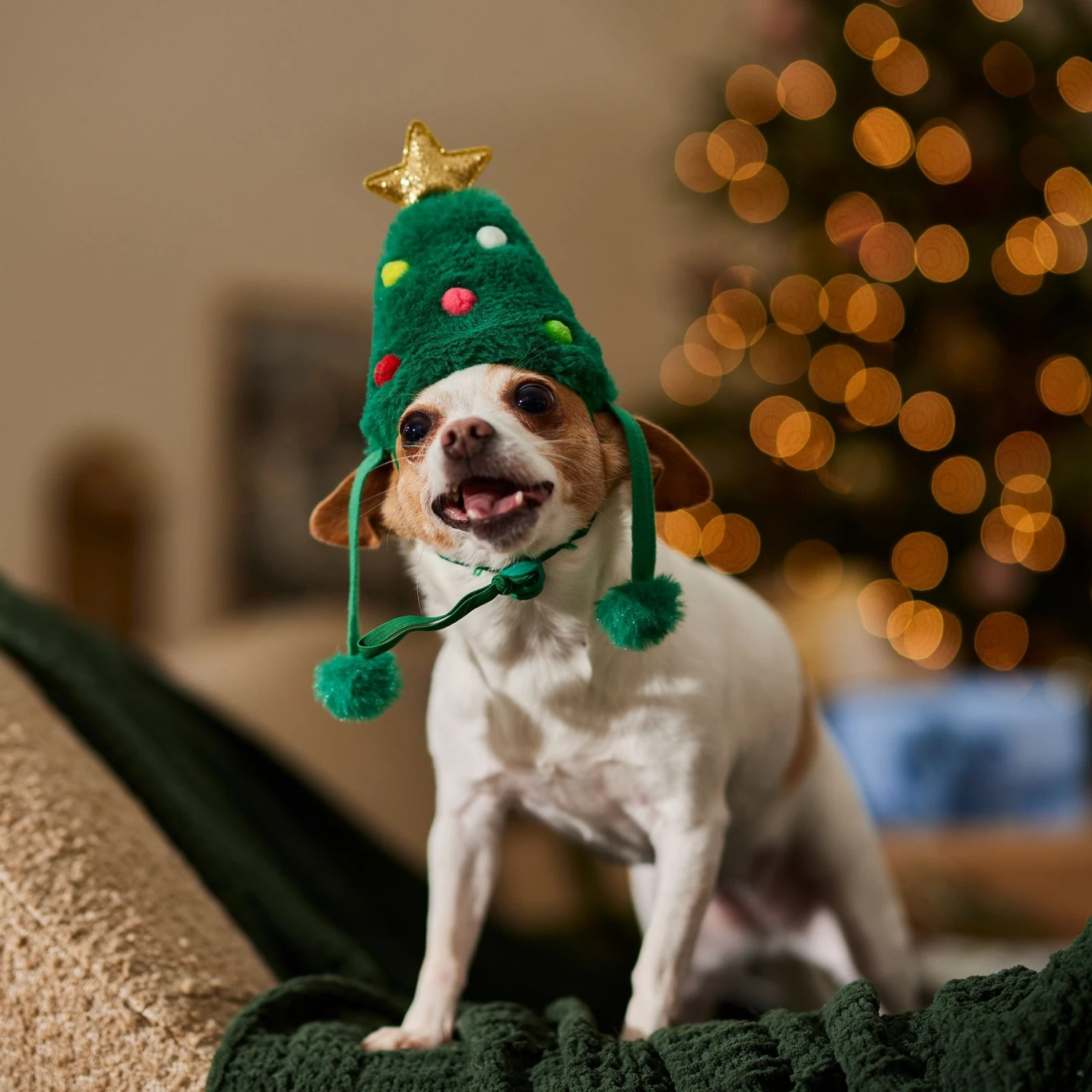 Frisco Christmas Tree Faux Fur Dog & Cat Hat 8 Frisco Christmas Tree Faux Fur Dog & Cat Hat - Image 6