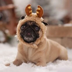 Frisco Sherpa Reindeer Dog & Cat Hat With Bells 14 Frisco Sherpa Reindeer Dog & Cat Hat With Bells -Cat Supply Store 745646 PT5. AC SS1800 V1694795597