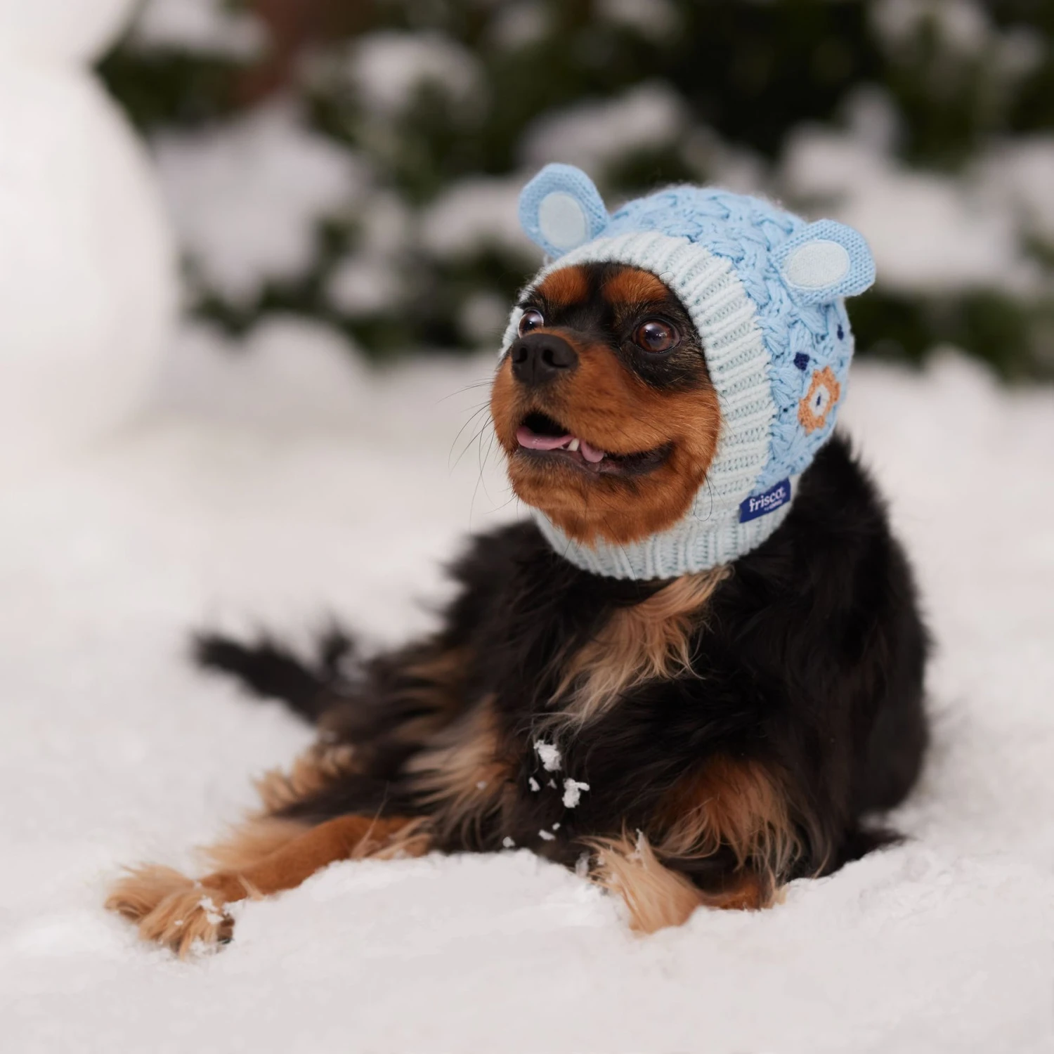 Frisco Nordic Ears Sweater Knit Dog & Cat Hat 8 Frisco Nordic Ears Sweater Knit Dog & Cat Hat - Image 6