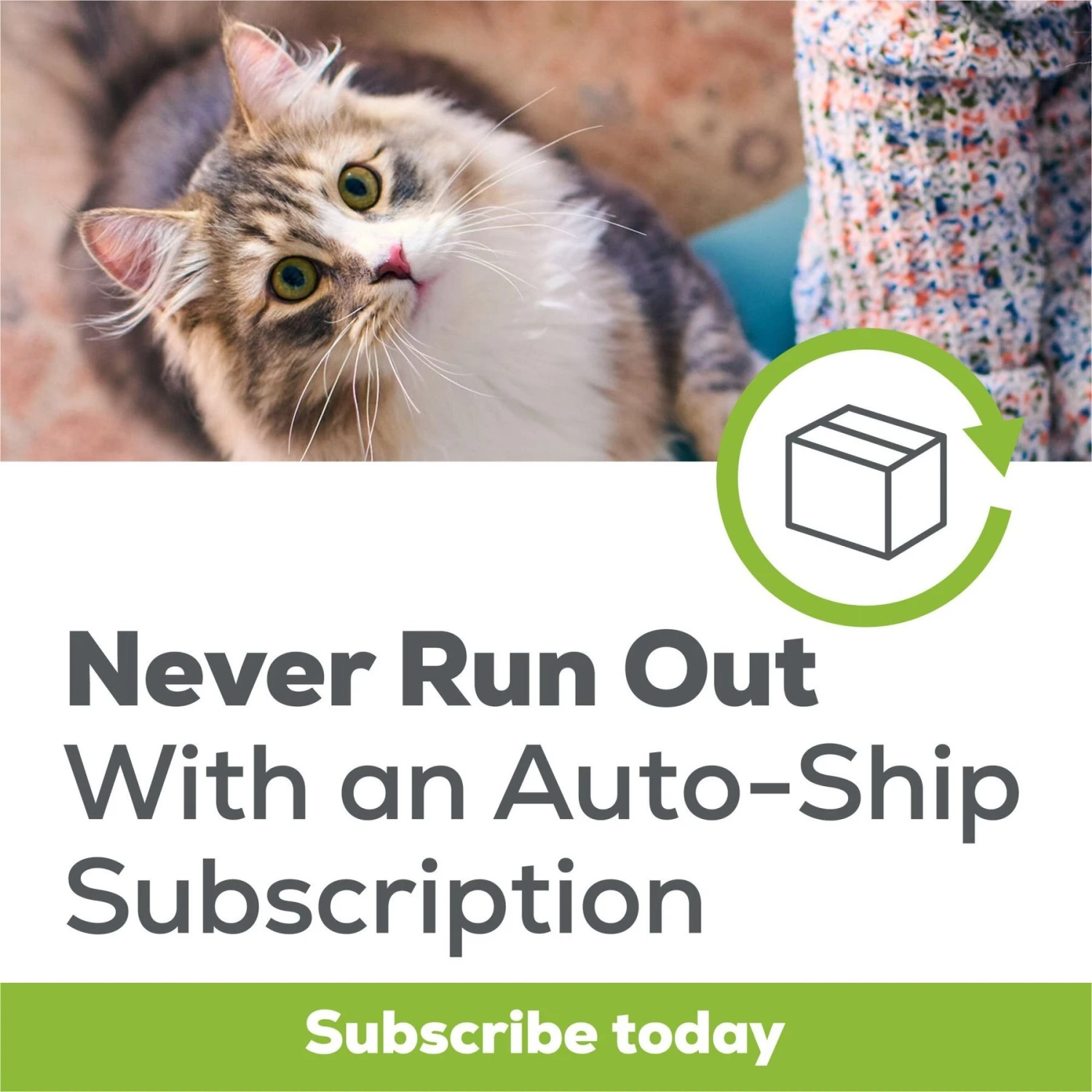 Tidy Max Lightweight Unscented Cat Litter, 17-lb Box 5 Tidy Max Lightweight Unscented Cat Litter, 17-lb Box - Image 3