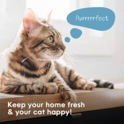 Litter Genie Plus Cat Litter Disposal System 14 Litter Genie Plus Cat Litter Disposal System -Cat Supply Store 780782 PT3. AC SS1800 V1684609649