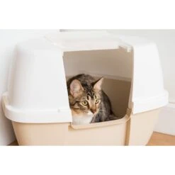 IRIS USA Hooded Corner Cat Litter Box With Front Door Flap & Scoop 17 IRIS USA Hooded Corner Cat Litter Box With Front Door Flap & Scoop -Cat Supply Store 816574 PT6. AC SS1800 V1685131608