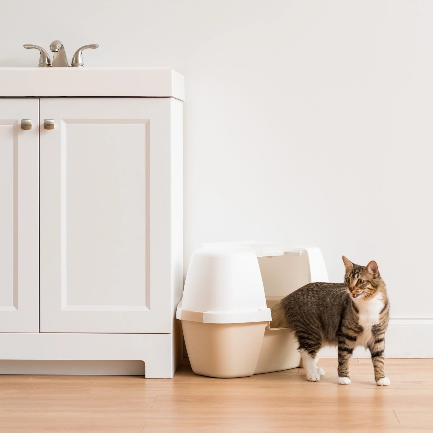 IRIS USA Hooded Corner Cat Litter Box With Front Door Flap & Scoop 11 IRIS USA Hooded Corner Cat Litter Box With Front Door Flap & Scoop - Image 9