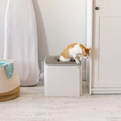 IRIS USA Premium Square Top Entry Cat Litter Box With Scoop, White & Gray, Large -Cat Supply Store 846654 PT6. AC SS1800 V1683834958