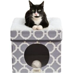Friends Forever Taylor Collapsible Cube Cat House & Ottoman, Grey